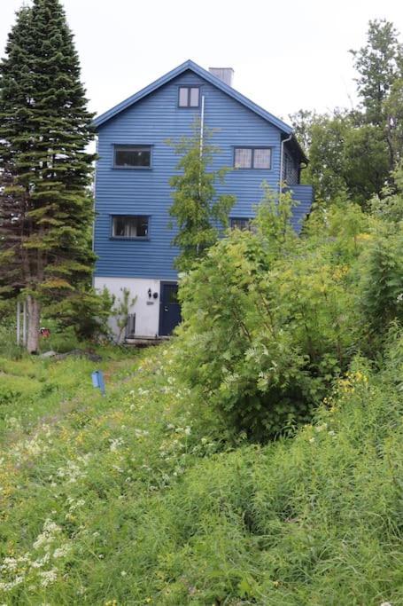 Cozy Family House Villa Tromso Bagian luar foto